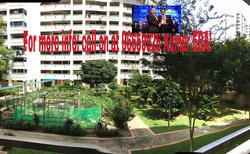 Blk 521 Jelapang Road (Bukit Panjang), HDB 4 Rooms #134649542